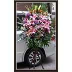 CBF-006